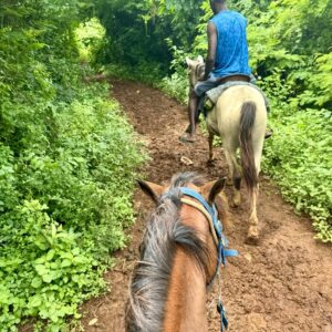 Horse Back Riding River and Beach - www.globaldominicantravel