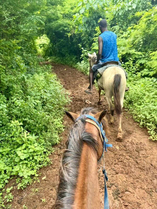 Horse Back Riding River and Beach - www.globaldominicantravel