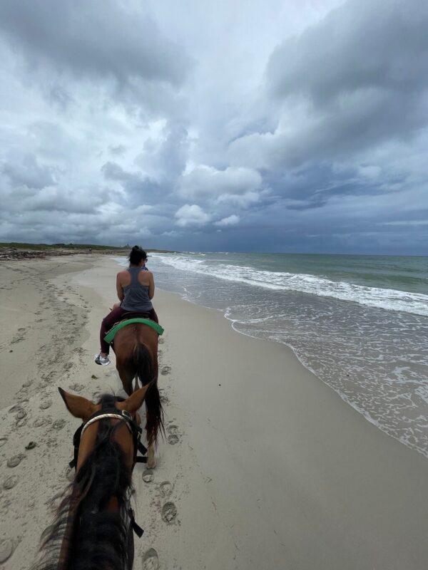 Horse Back Riding River and Beach - www.globaldominicantravel