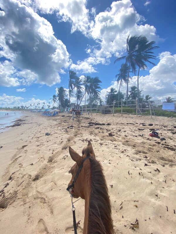 Horse Back Riding River and Beach - www.globaldominicantravel