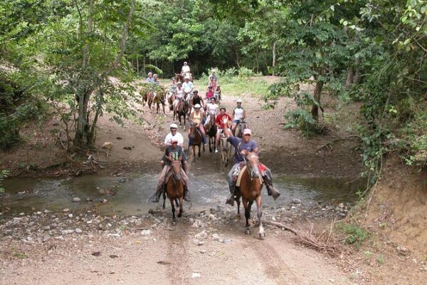 Horse Back Riding River and Beach - www.globaldominicantravel