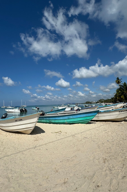www.globaldominicantravel.com